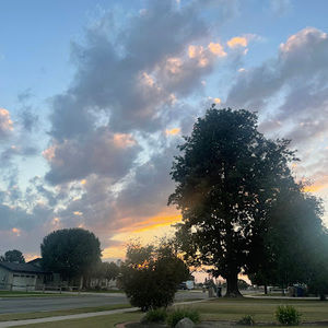 Meet your Posher, Lily